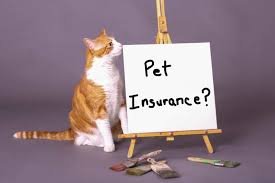 Pet Insurance in the USA